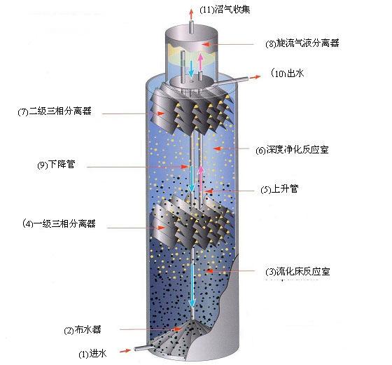 5fb37ed9a61fd.jpg