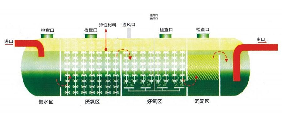 5fb36fd32863d.jpg